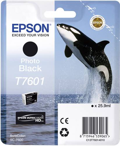 Epson Druckerpatrone T7601 Original Foto Schwarz C13T76014010