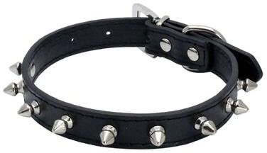 Uplifted Finds Titan Spike Protective Leather Series 2 51 X 2.5 Cm