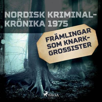 Främlingar som knarkgrossister - , Audio, 9788728413951
