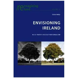 Envisioning Ireland, Fachbücher von Claire Nally