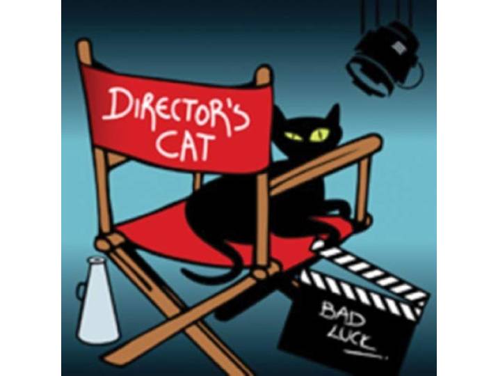 Director's Cat - Bad Luck