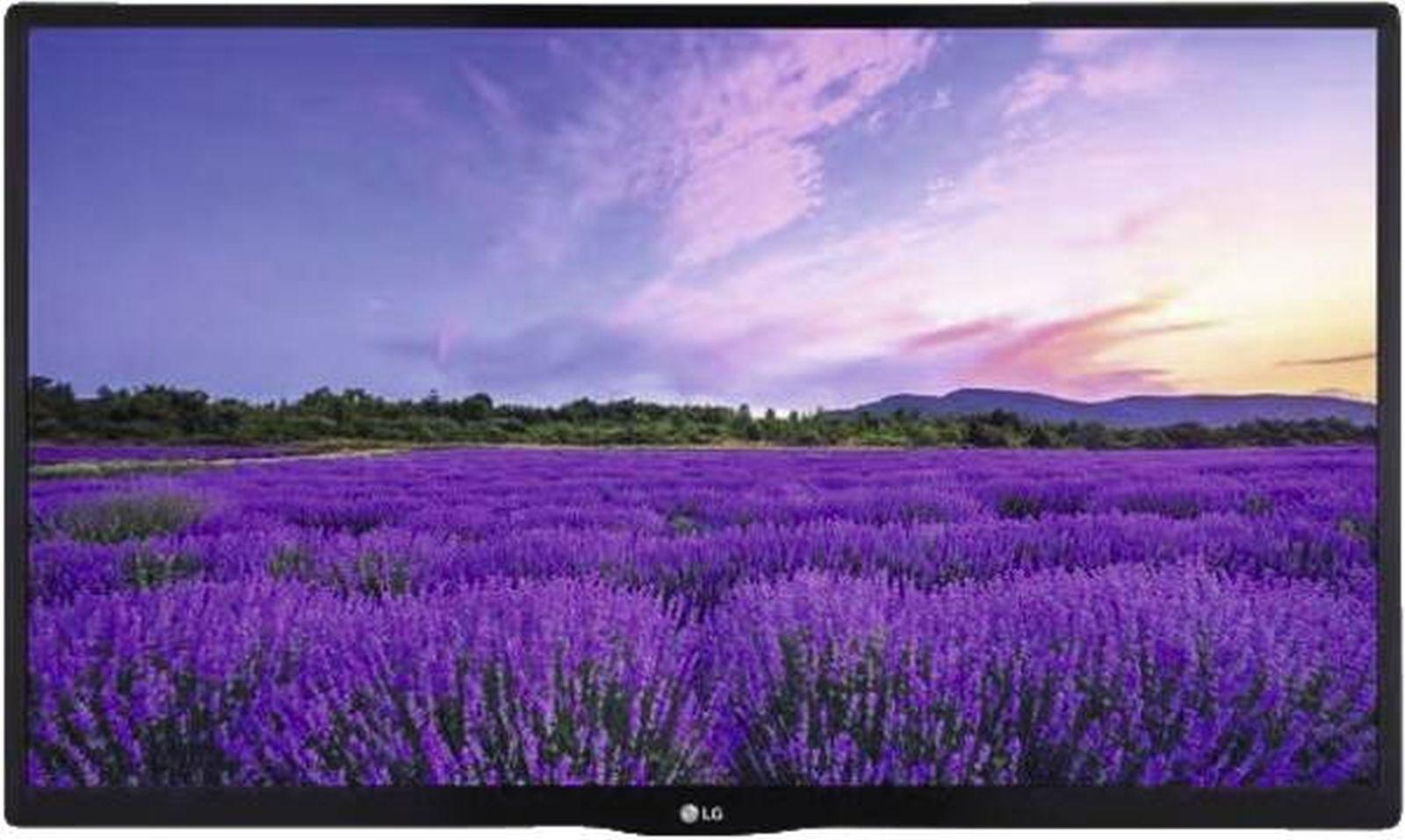 LG 24LN662V Cruise Hotel TV 61 cm (24")