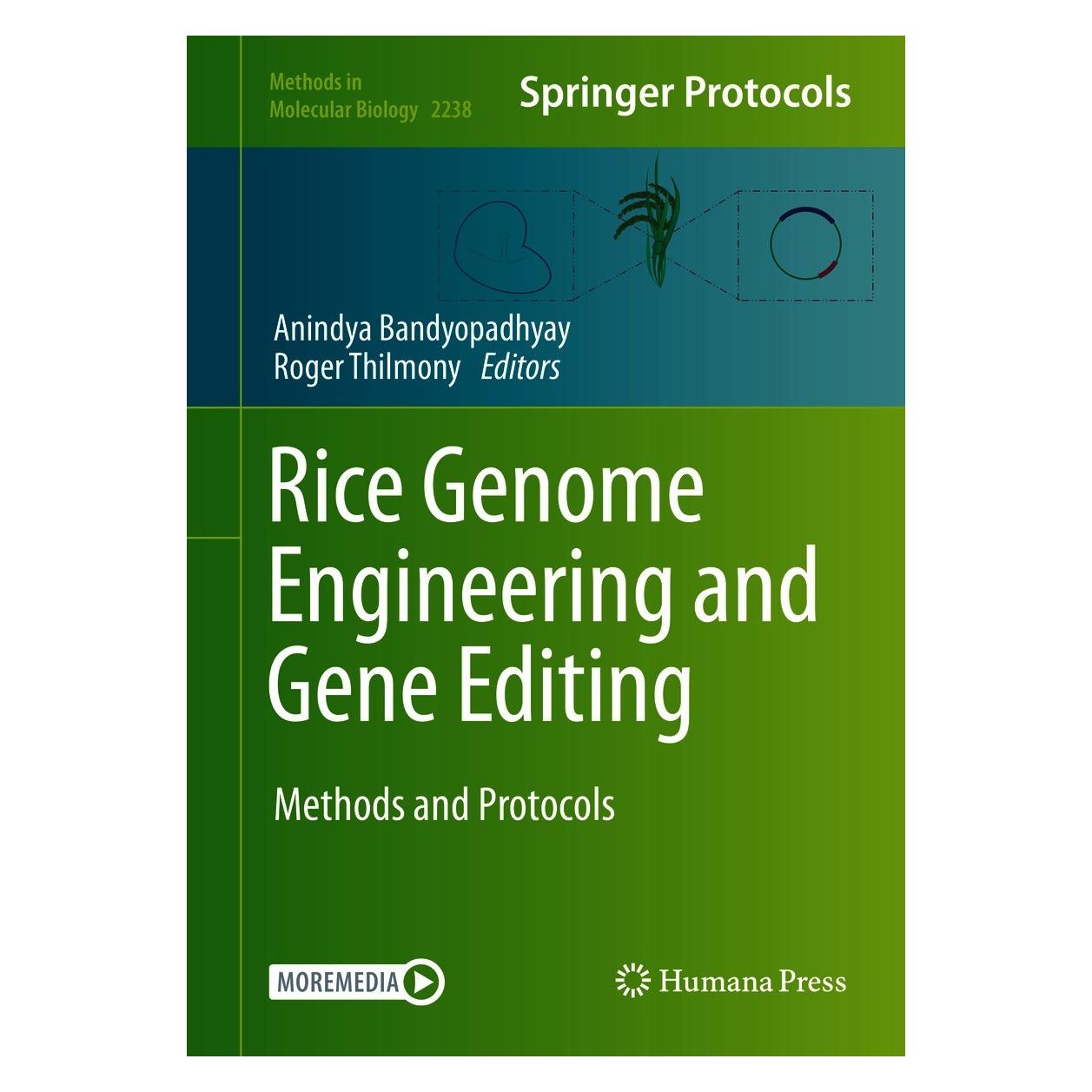 Springer Rice Genome Engineering and Gene Editing (Englisch, Hardcover, Anindya Bandyopadhyay, Roger Thilmony) (9781071610671)