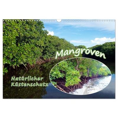 Mangroven - Natürlicher Küstenschutz (Wandkalender 2026 DIN A3 quer), CALVENDO Monatskalender