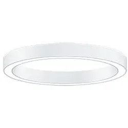 Zumtobel 42187657 Rundleuchte SLOIN R D 4500-940 MSC D800 MPO LDE WH