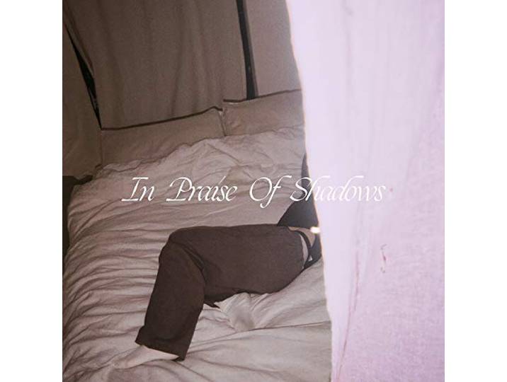 In Praise of Shadows
