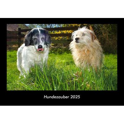 Hundezauber 2025 Fotokalender DIN A3