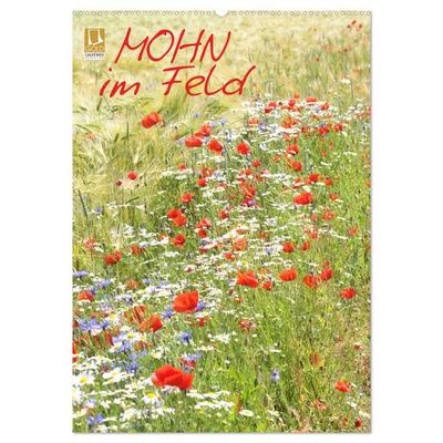 Mohn im Feld (Wandkalender 2026 DIN A2 hoch), CALVENDO Monatskalender