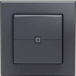 Homematic IP Funk Wandtaster HmIP-WRC2-A-2 161869A0