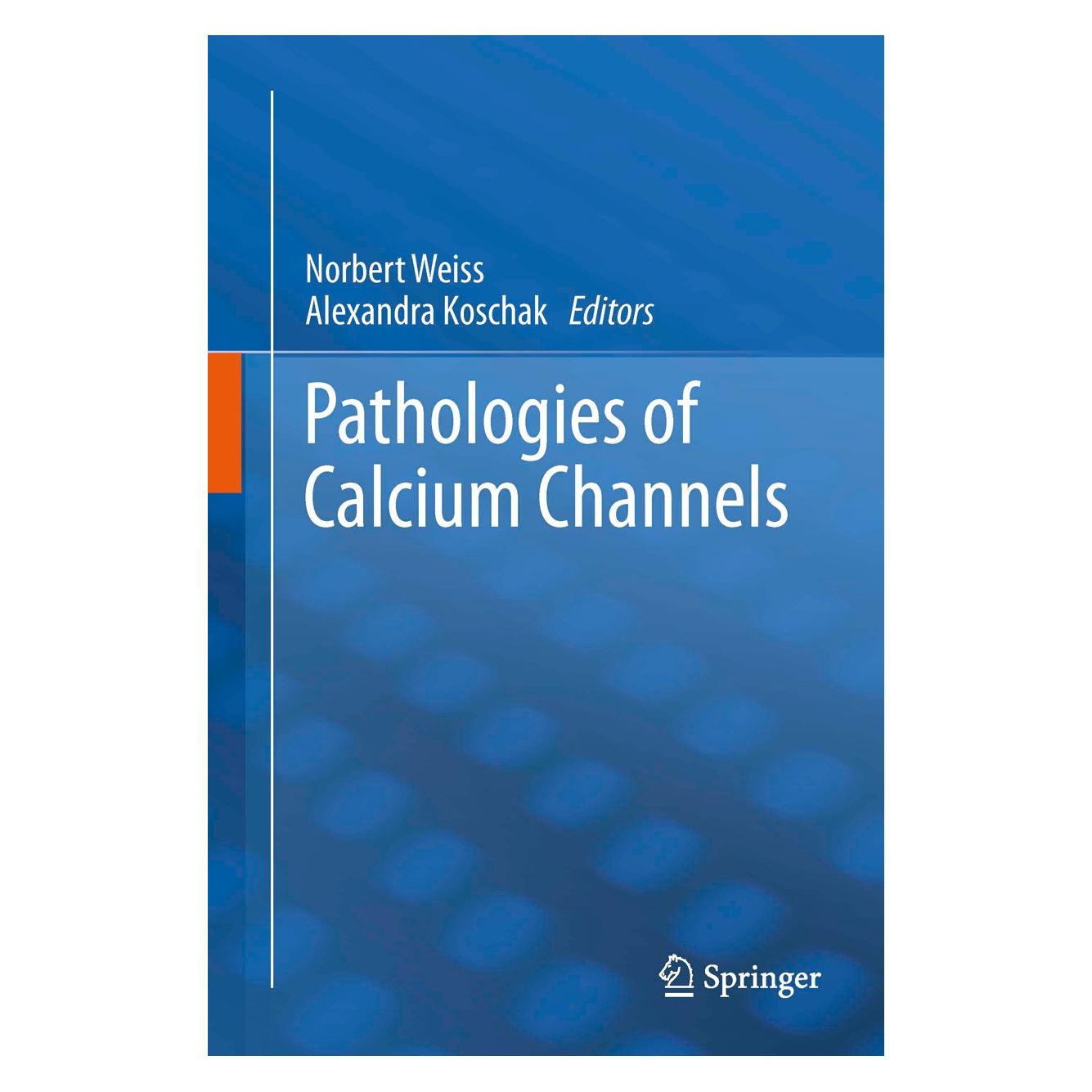 Springer Pathologies of Calcium Channels (Englisch, Hardcover, Alexandra Koschak, Norbert Weiss) (9783642402814)