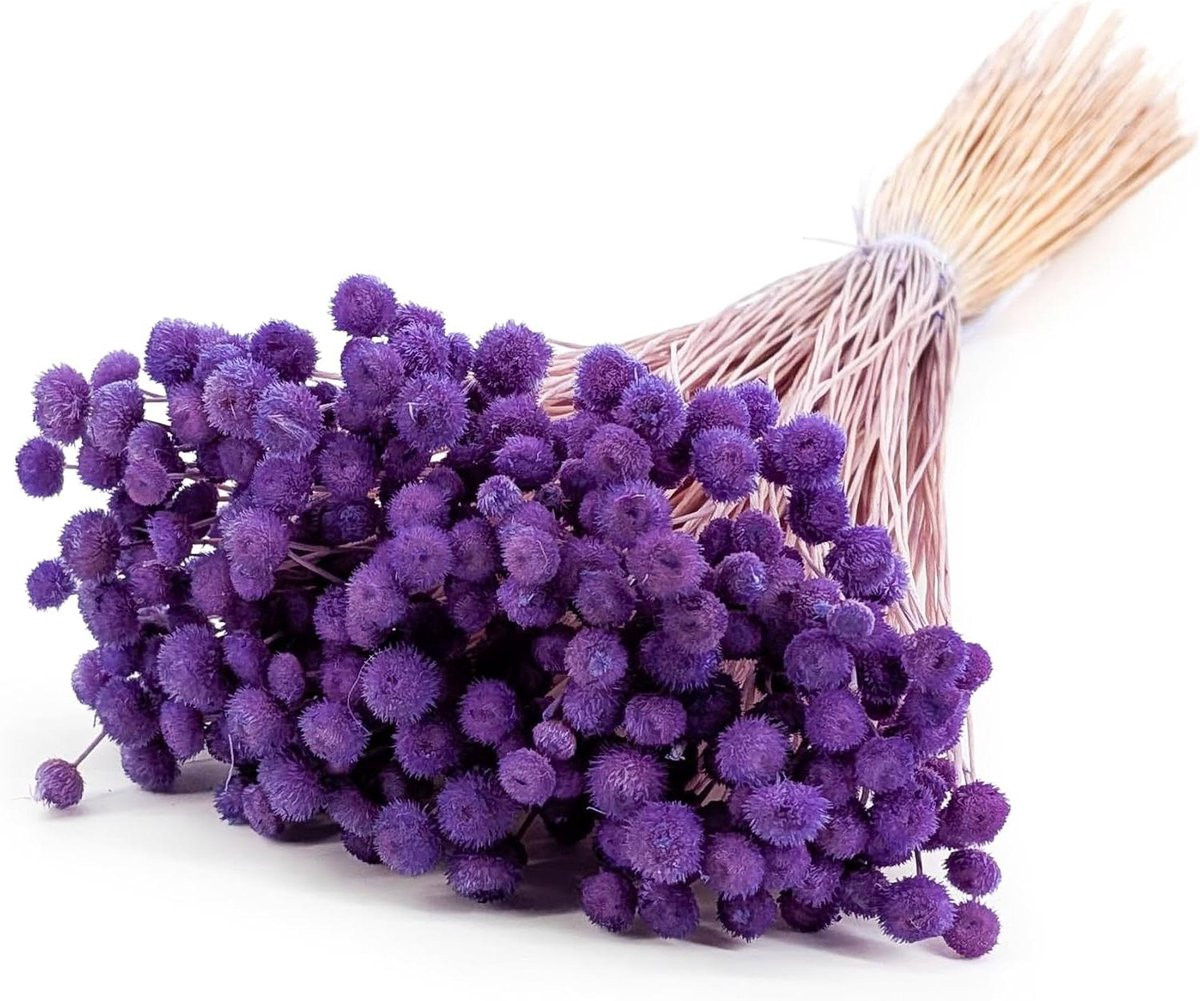 Gedroogde Lavendel Bloemen - Decoratieve Plant voor Interieur Decoratie - 60 cm Lengte