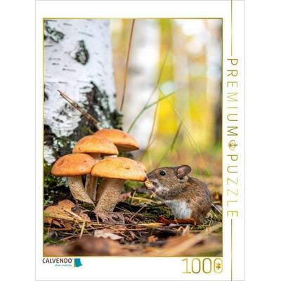 CALVENDO Puzzle Birkenpilze und Maus | 1000 Teile Lege-Größe 64x48cm Foto-Puzzle für glückliche Stunden