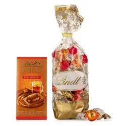 LINDT Warme Momente 5 versch. Sorten exklusiv bei QVC Inhalt 578g, 41 Stk.