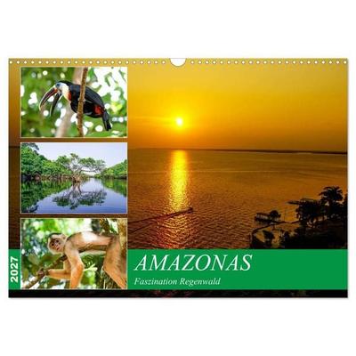 Amazonas - Faszination Regenwald (Wandkalender 2027 DIN A3 quer), CALVENDO Monatskalender