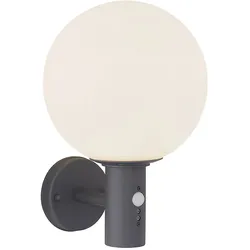 Wandlampe mit Bewegungsmelder Außenleuchte Anthrazit Kugellampe Sensor LED Hauswandleuchte, Glas Edelstahl, LED 7W 806lm 2700K warmweiß, DxH 25x37 cm