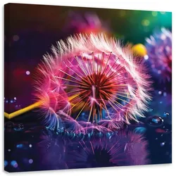 LEINWANDBILD Pusteblume Makro Abstraktion 50x50cm