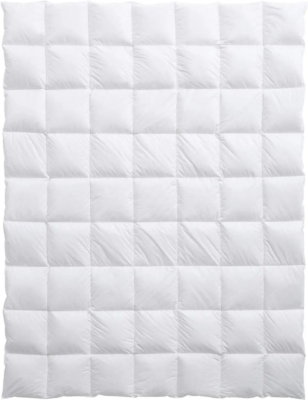 billerbeck Bern 100  Weiss