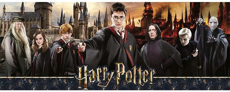 Nathan Puzzle 1000 pcs Panoramique Collection Mes Héros - Harry Potter : La guerre des sorciers