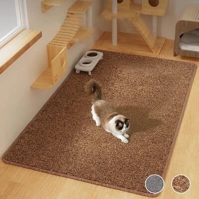 Inspired Finds Large Cat Scratching Mat Carpet Sofa Protector   Non Slip Anti Scratch Furniture Pad brown l