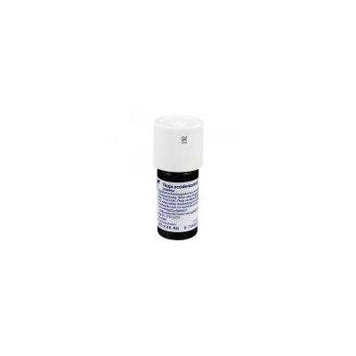 Thuja Occidentalis Urtinktur 20 ml Dilution