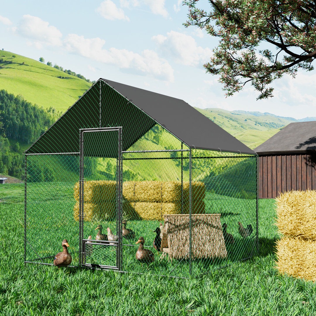 Archie & Oscar Chicken Run 276cm H x 300cm W x 207cm D
