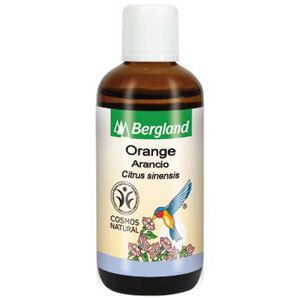 Orangen ÖL süß 100 ml Ätherisches Öl