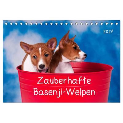 Zauberhafte Basenji-Welpen (Tischkalender 2027 DIN A5 quer), CALVENDO Monatskalender