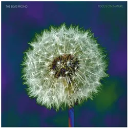 Cargo, Schallplatten, FOCUS ON NATURE (COLV) (PURP) (DLCD) (The Bevis Frond)