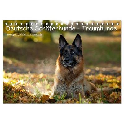 Deutsche Schäferhunde - Traumhunde (Tischkalender 2026 DIN A5 quer), CALVENDO Monatskalender