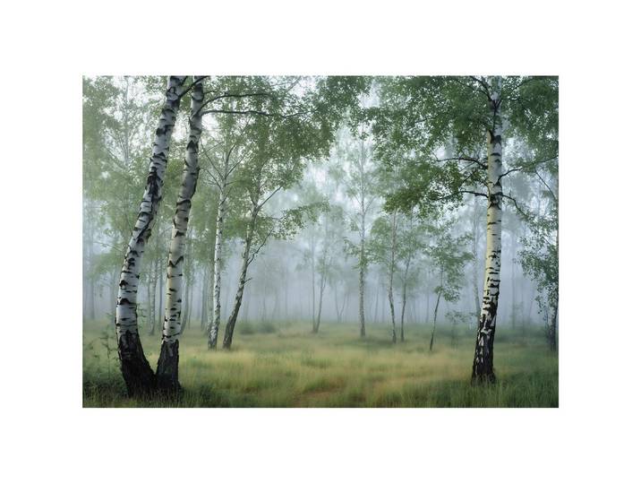 VLIESTAPETE Wald Birken 3D Effekt Natur Schlafzimmer 300x210