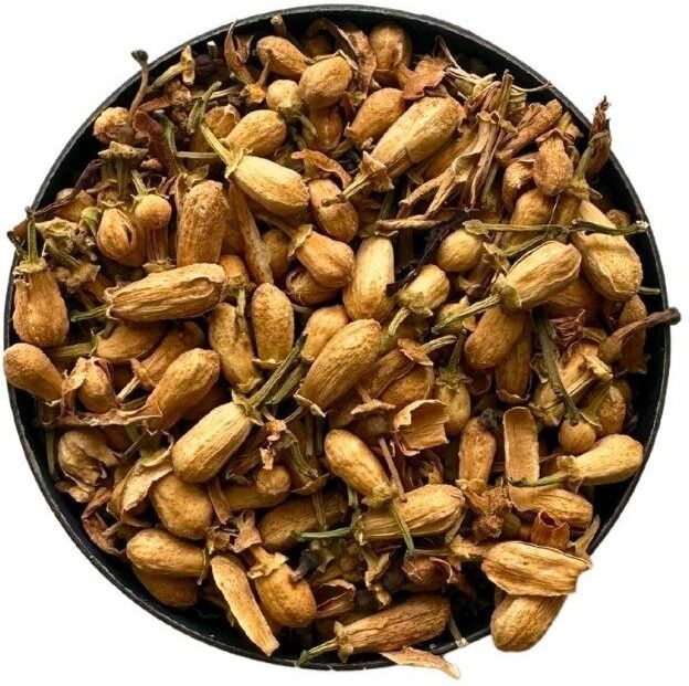 France Herboristerie Tisane Oranger Bigarade bouton floral ENTIER Citrus aurantium va