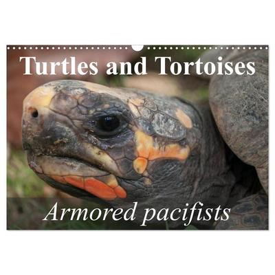 Turtles and Tortoises - Armored pacifists (Wall Calendar 2027 DIN A3 landscape), CALVENDO 12 Month Wall Calendar