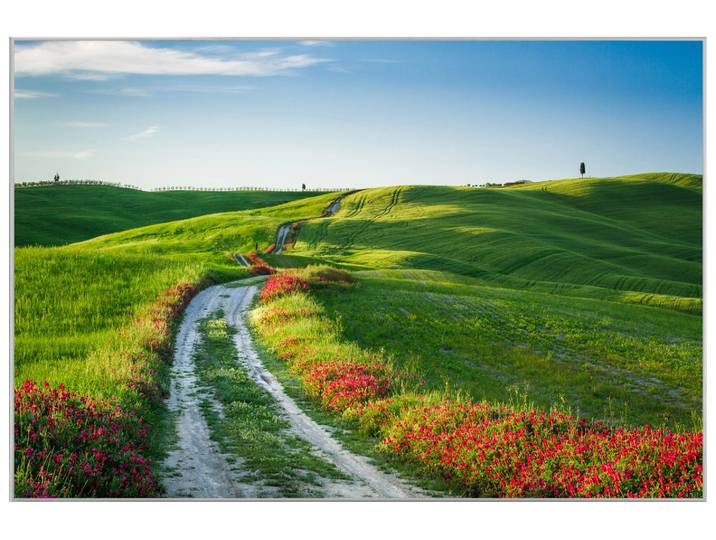 Bild mit Rahmen Wegesrand mit Mohn image LAND