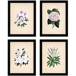 POSTER Set mit 4 Botanische Papier Hintergrund Lila Blumen A3 Rahmenlos