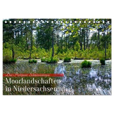 Niedersachsens Moorlandschaften - Das Pietzmoor, Schneverdingen (Tischkalender 2026 DIN A5 quer), CALVENDO Monatskalender