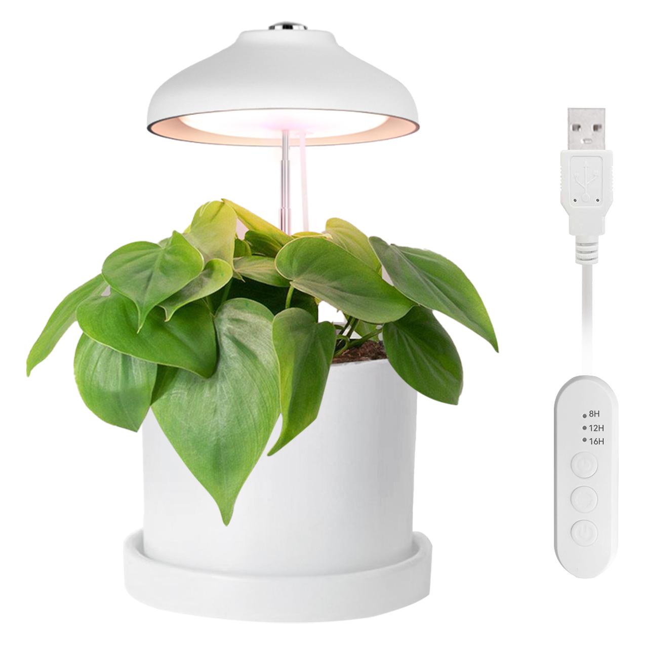 Enne Interior Bijou Grow Plant Light (LED) (42053317)