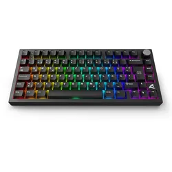 Sharkoon Tastatur Skiller SGK55W kabellos TKL 75% schwarz Linear, DE-Layout