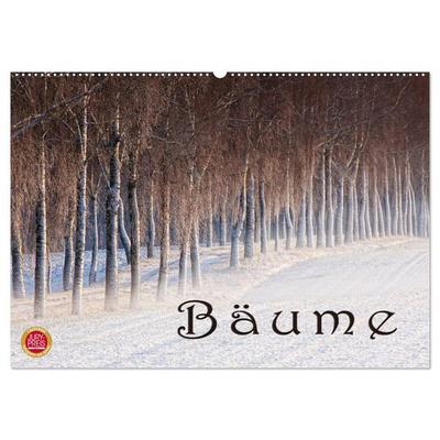 Bäume (Wandkalender 2026 DIN A2 quer), CALVENDO Monatskalender