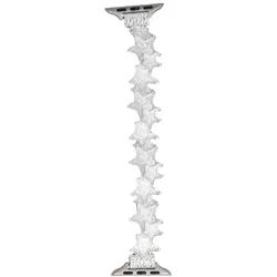 Neue Armbanduhr GlacierX Gleam Star Stretch Bracelet Moon Shard für Apple Watch 38/40/41mm Perlmutt