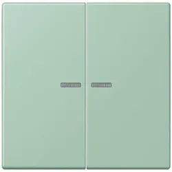 Jung Wippe mit Lichtleiter LC 102 KO5 217