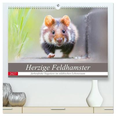 Herzige Feldhamster - farbenfrohe Nagetiere im städtischen Lebensraum (hochwertiger Premium Wandkalender 2027 DIN A2 quer), Kunstdruck in Hochglanz