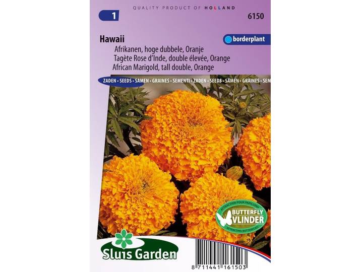 Tagetes Erecta zaden Hawaii afrikaantje