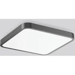 RZB LED-Wand-u. Deckenleuchte 312653.0031.730