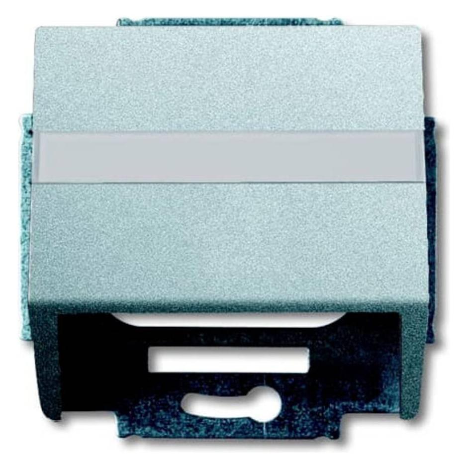 Busch-Jaeger Zentralscheibe mit Tragring 2CKA001724A4263 (2CKA001724A4263)