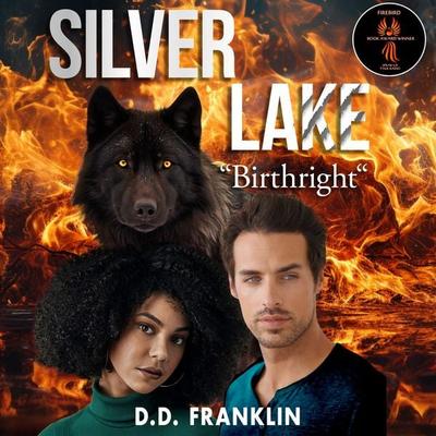 Silver Lake - Birthright - D.D. Franklin, Audio, 9781971980256