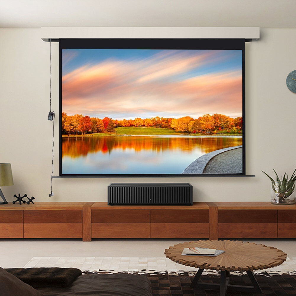 Inbox Zero Outdoor Electric Projector Screen Projector Screen White 110cm H x 172cm W x 0.38cm D