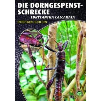 Die Dorngespenstschrecke, Taschenbuch von Stephan Schorn, Natur Und Tier, 978-3-86659-184-4