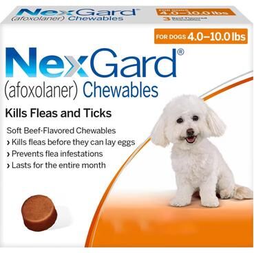 Nexgard For Small Dogs 4-10lbs (Orange) 11mg 6 Chews