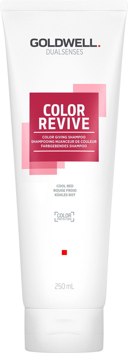 250ml Goldwell Dualsenses Color Revive Farbgebendes Shampoo