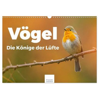 Vögel - Die Könige der Lüfte (Wandkalender 2026 DIN A3 quer), CALVENDO Monatskalender